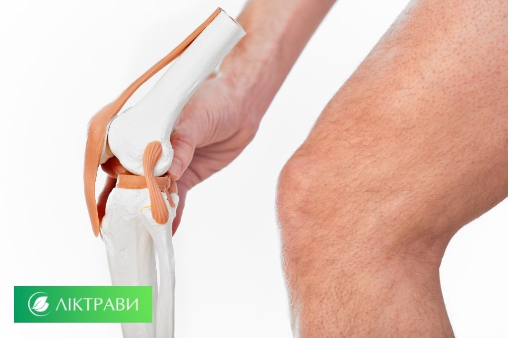 лікування суглобів травами